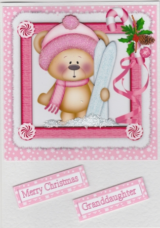 Ted goes sking pink by Susan Cummings