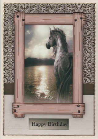 Male card Horse by Susan Cummings