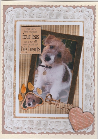 Some Friends Have To Walk On Four Legs by Susan Cummings