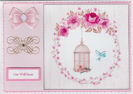 A5 Bird cage card front for lots of occasions. by Susan Cummings