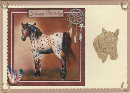 INDIAN HORSE  by Susan Cummings
