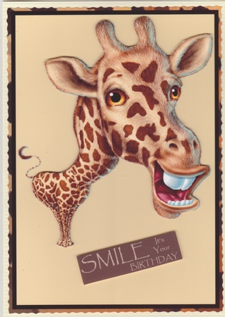 Smile Its Your Birthday by Susan Cummings
