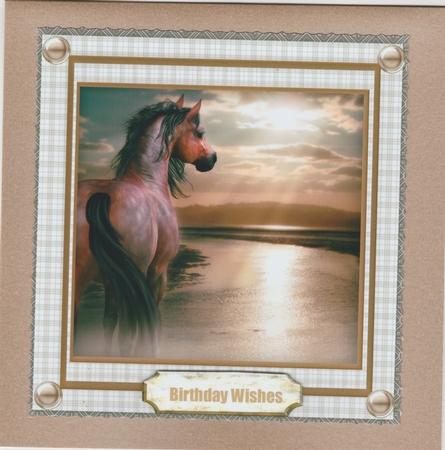 Horse at Sunset by Susan Cummings