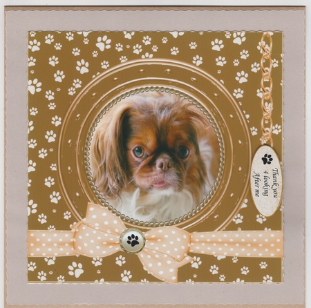 A CARD FROM THE DOG 2 MISC SENTIMENTS by Susan Cummings