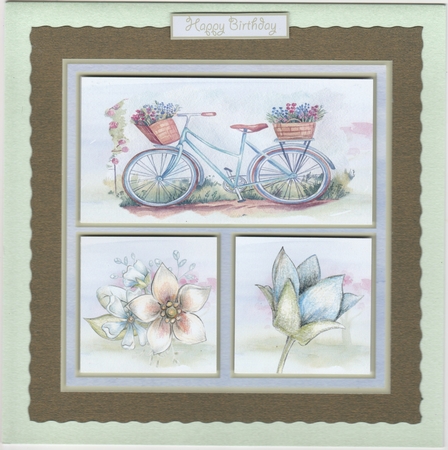 Bicycle and flowers 7x7 by Susan Cummings