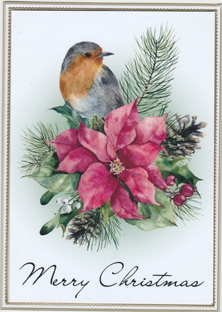 Robin & Poinsettia 5x7 Card Kit by Susan Cummings