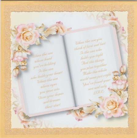 Blank Open Book - Pink & Gold Roses 8x8 by Susan Cummings