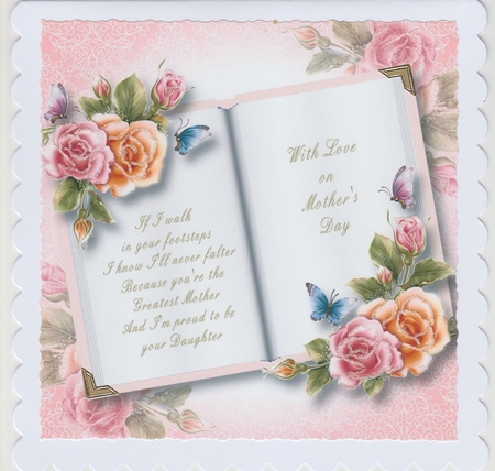 Blank Open Book - Rosy Glow Roses 8x8 by Susan Cummings