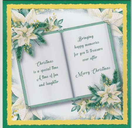 Blank Christmas Open Book - Cream Poinsettias 8x8 by Susan Cummings