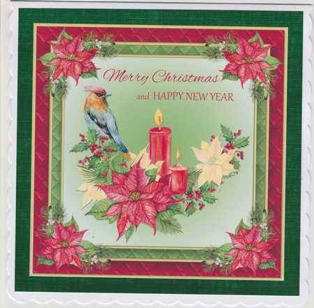 Christmas Bird Card Front by Susan Cummings