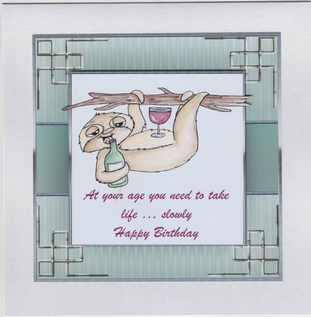 AT YOUR AGE SLOTH BIRTHDAY CARD FRONT by Susan Cummings