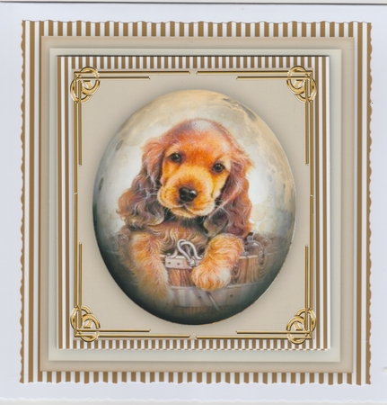 8x8 mini kit , Gorgeous Spaniel Pup , Pyramid  by Susan Cummings