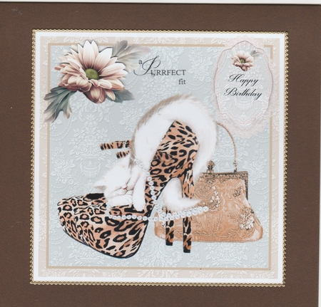 Cat in a shoe card front with decoupage and sentiments. by Susan Cummings