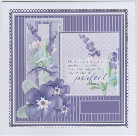 Lavender flower by Susan Cummings