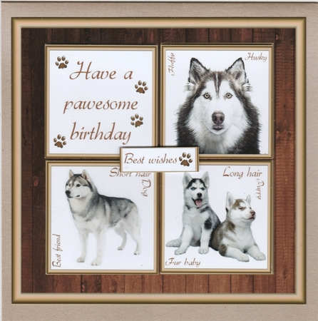 Gorgeous Husky Cubes 8x8 Mini Kit by Susan Cummings