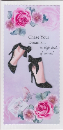 DL Card Front - Chase Your Dreams by Susan Cummings