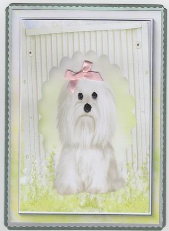 A4 Garden Terrier Card Front by Susan Cummings