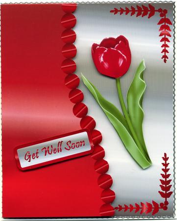 Glossy Red Tulip by Susan Cummings