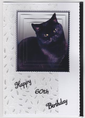 Black Cat Portrait Pyramid by Susan Cummings
