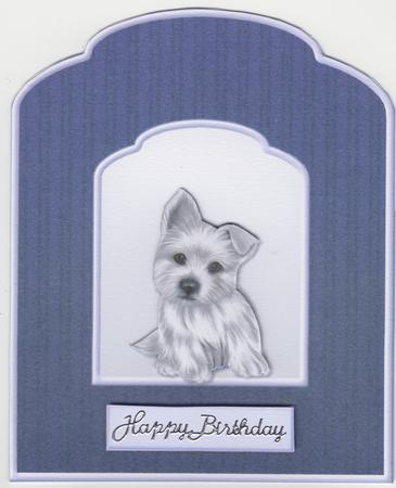 Paws Folded Card by Susan Cummings
