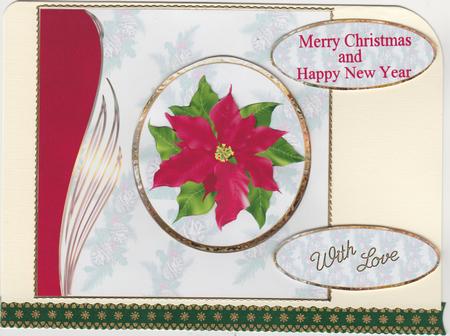 Christmas Flower by Susan Cummings