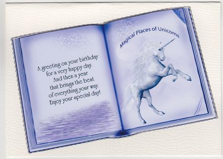 A4 Unicorn Book by Susan Cummings
