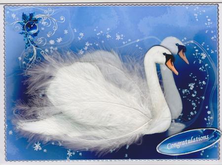 The Elegant Swan Couple by Susan Cummings