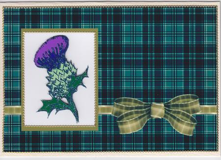 Thistle on Green Tartan. by Susan Cummings