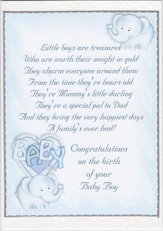 Baby Nellie in Blue A4 Blank Insert by Susan Cummings