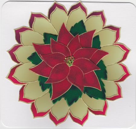 Large Poinsettia by Susan Cummings
