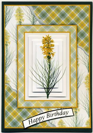 Beautiful Floral Torn Edge Effect Card Front by Susan Cummings