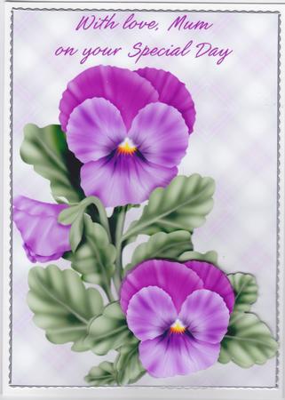 Purple Pansy for Mum by Susan Cummings