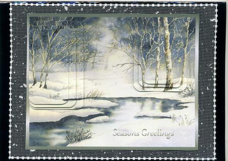 Winter Wood After a Snow Storm by Susan Cummings