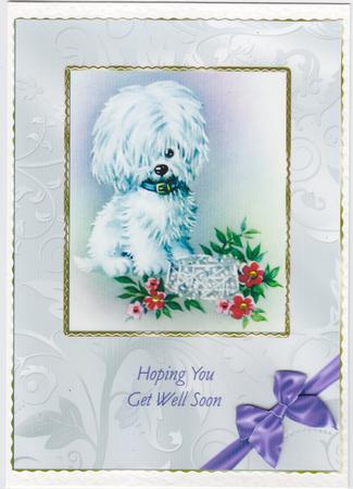 Puppy Pyramid Card - Get Well by Susan Cummings