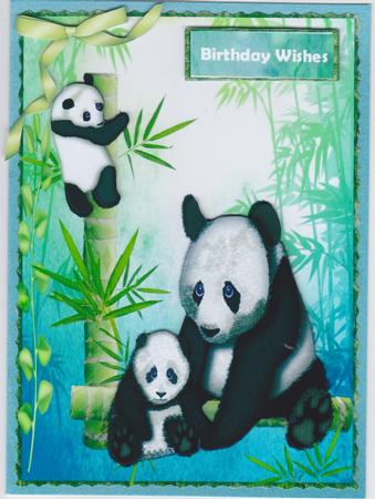 Beautiful Pandas Playing by Susan Cummings