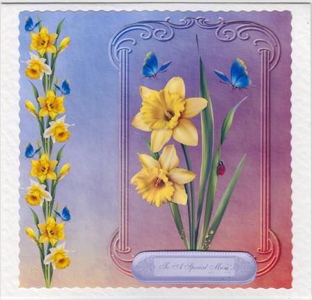 Daffodils & Butterflies 8x8 Card Front by Susan Cummings