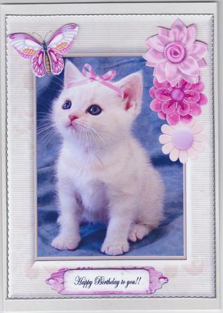 Birthday Girl Cute Kitten by Susan Cummings