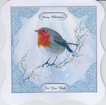 Robin Resting on a Branch by Susan Cummings