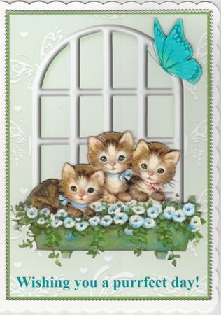 Wishing You a Purrfect Day Topper & Decoupage by Susan Cummings