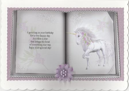 A4 Unicorn Book 4 by Susan Cummings