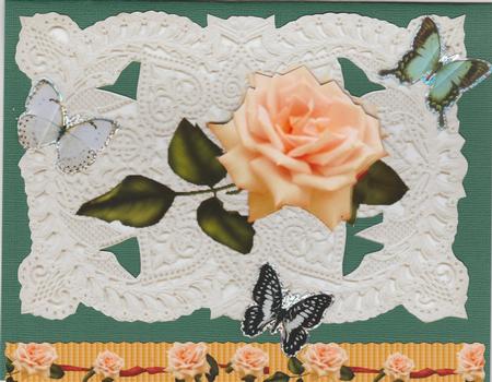Beautiful Peach Roses with Stunning Ecru Lace Background by Susan Cummings