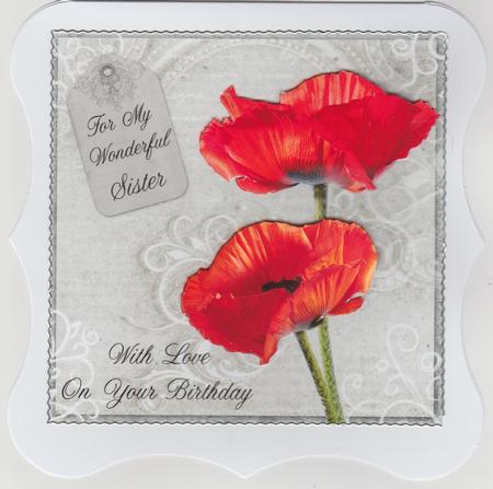 Poppy Duo on Grey Sister Birthday 8x8 Inch Step by Step by Susan Cummings
