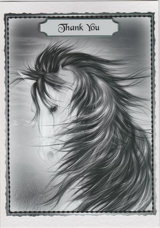 Wind Blown Horse by Susan Cummings