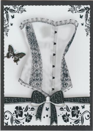 Beautiful Silver Corset A4 by Susan Cummings