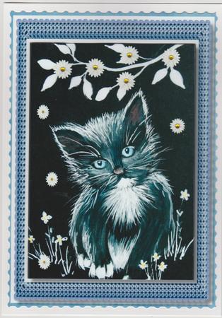 Beautiful Blue Eyed Kitten in the Flowers  by Susan Cummings