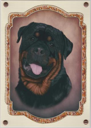 Loyal Companions A5 Toppers 1 by Susan Cummings