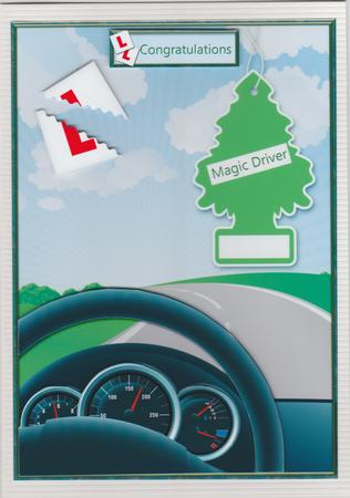 Magic Driver by Susan Cummings