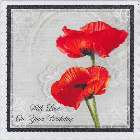 Poppy Duo on Grey 8x8inch Birthday Step by Step by Susan Cummings