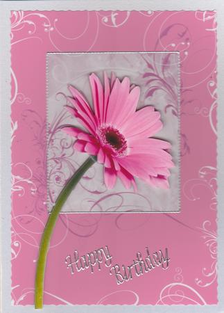 Pink Gerbera Swirl Step by Step by Susan Cummings