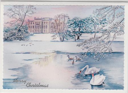 Winter Swan Lake by Susan Cummings